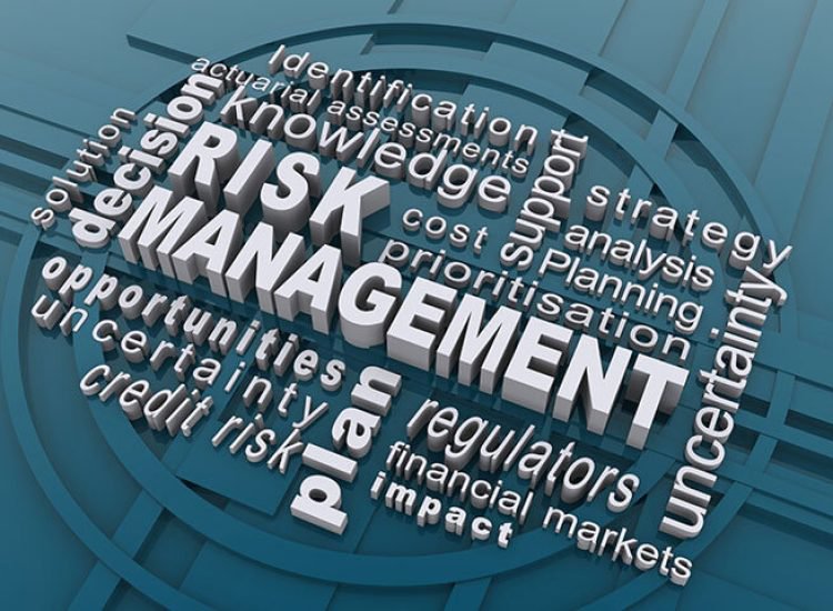 Risk Management Header